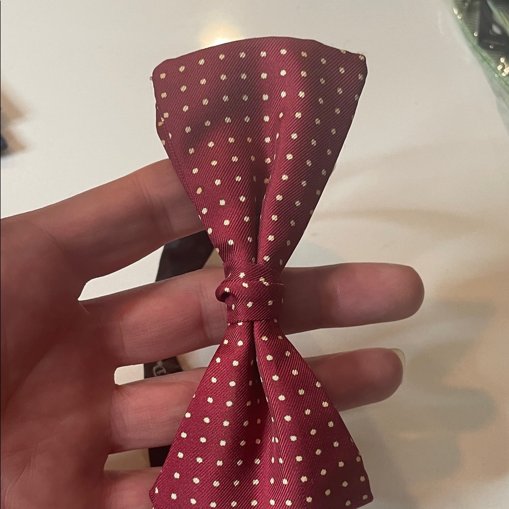 Vicky Davis Burgundy Polka Dot Bow Tie